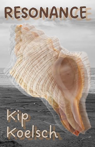 Resonance: A Discounted Literary Fiction eBook