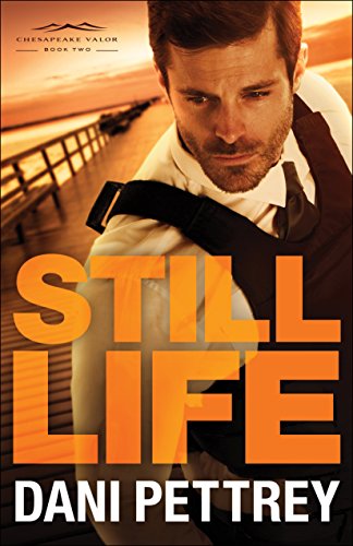 Still Life: A Discounted Christian Fiction eBook