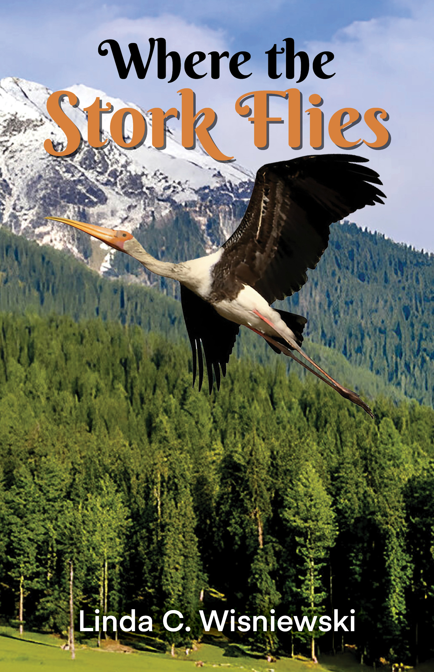 Unlikely Alliances, Healing Journeys, and Timeless Connections: Discounted Literary Fiction eBooks