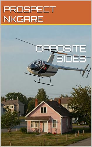 Opposite Sides: A Discounted Black Literature eBook