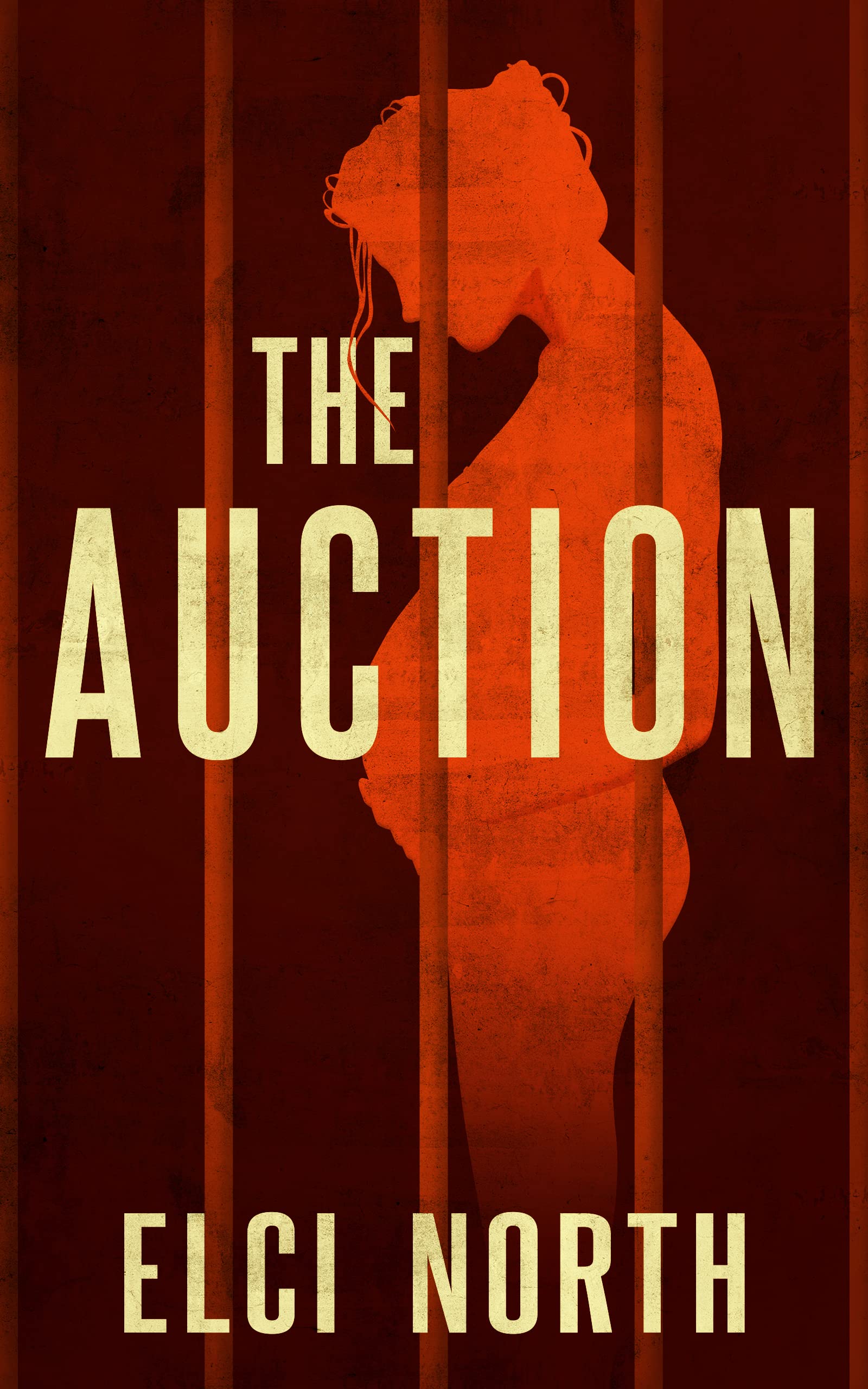 The Auction: A Discounted Women's Fiction eBook