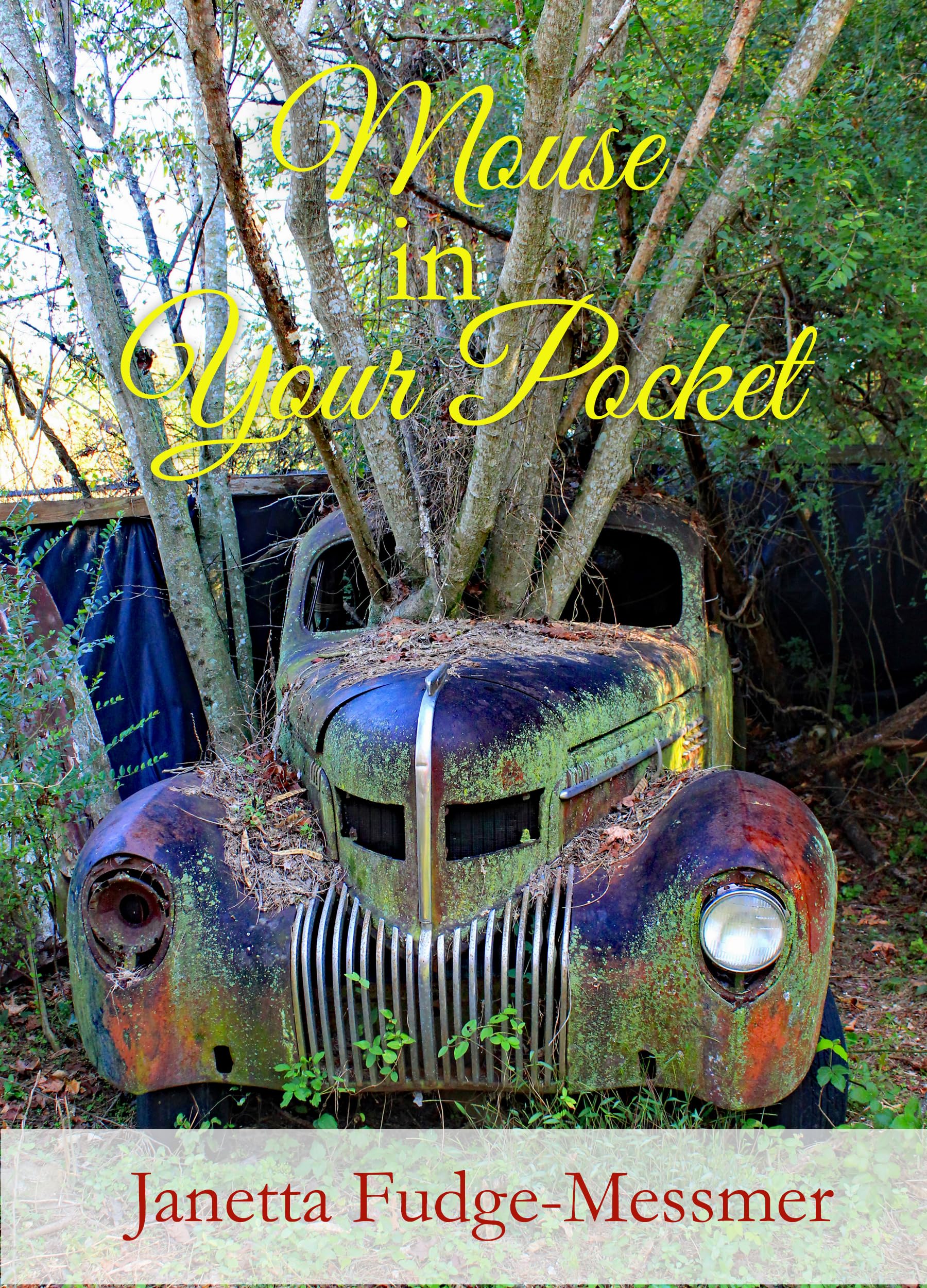 Unexpected Inheritances, Corporate Rivalries, and Sparking Chemistry: Discounted Women's Fiction eBooks