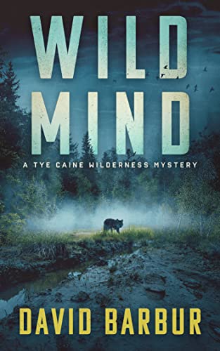Heartfelt Confessions, Vanishing Acts, and Midnight Discoveries: Discounted Mystery / Thriller eBooks