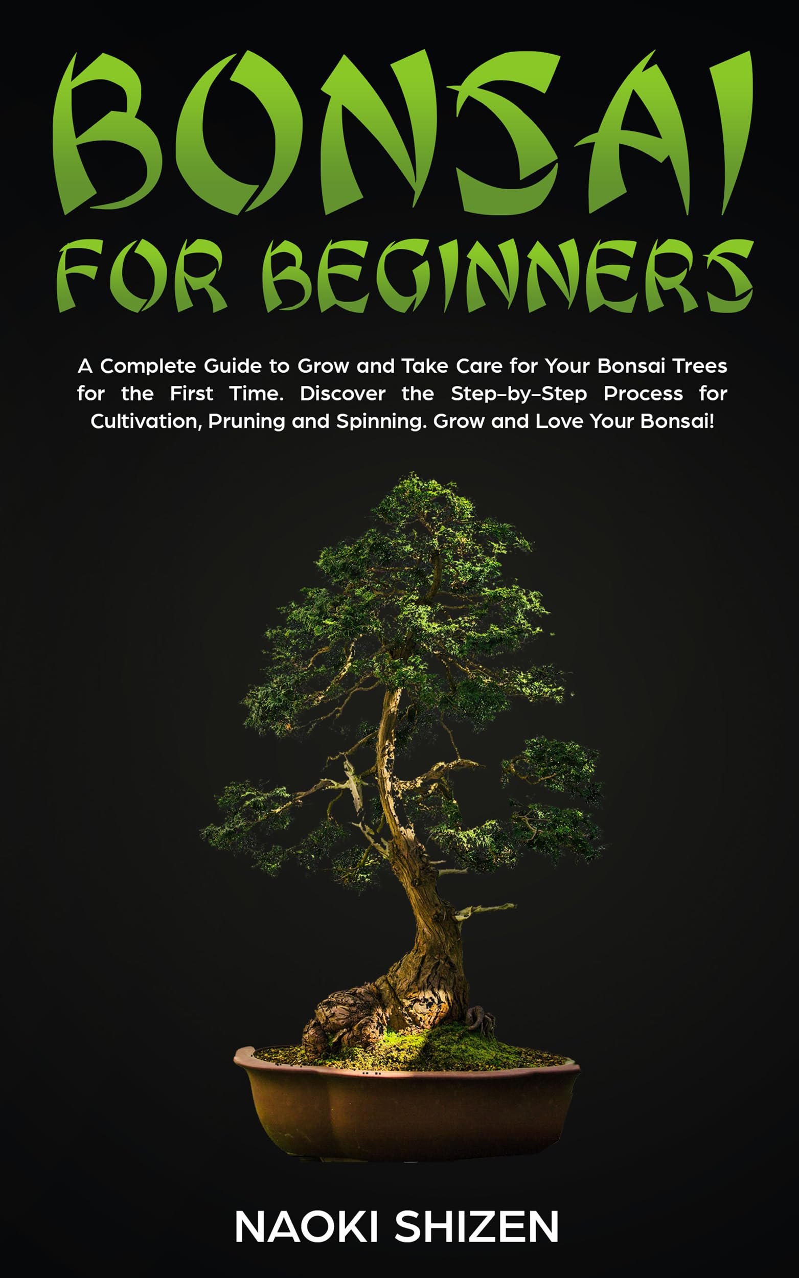 Everyday Transformations, Practical Wisdom, and Inspired Journeys: Discounted Nonfiction eBooks