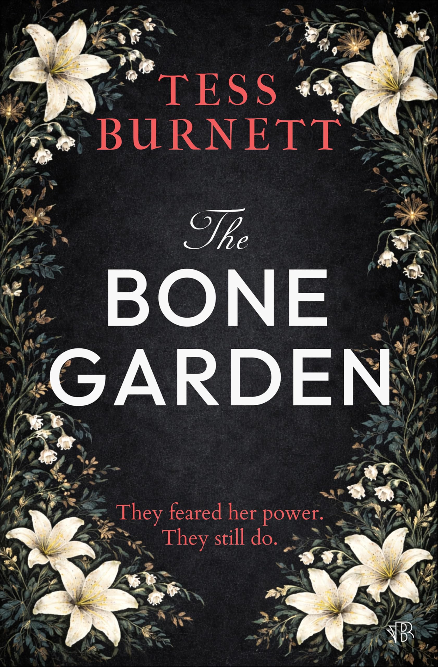 The Bone Garden: A Discounted Historical Fiction eBook