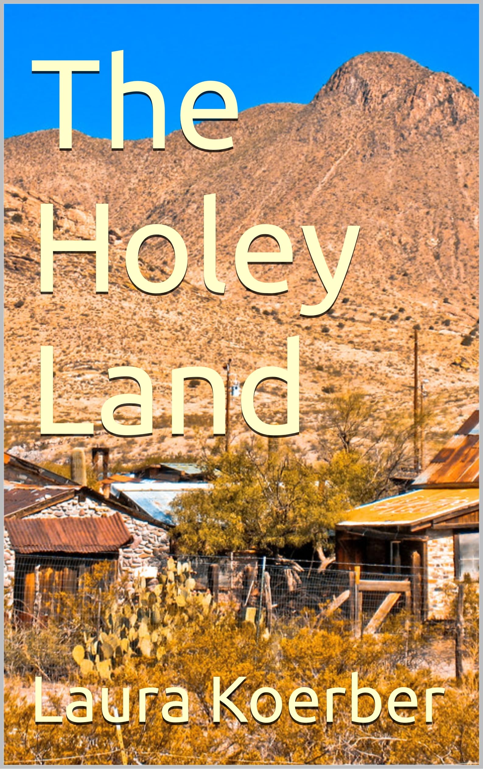 The Holey Land: A Discounted Women's Fiction eBook