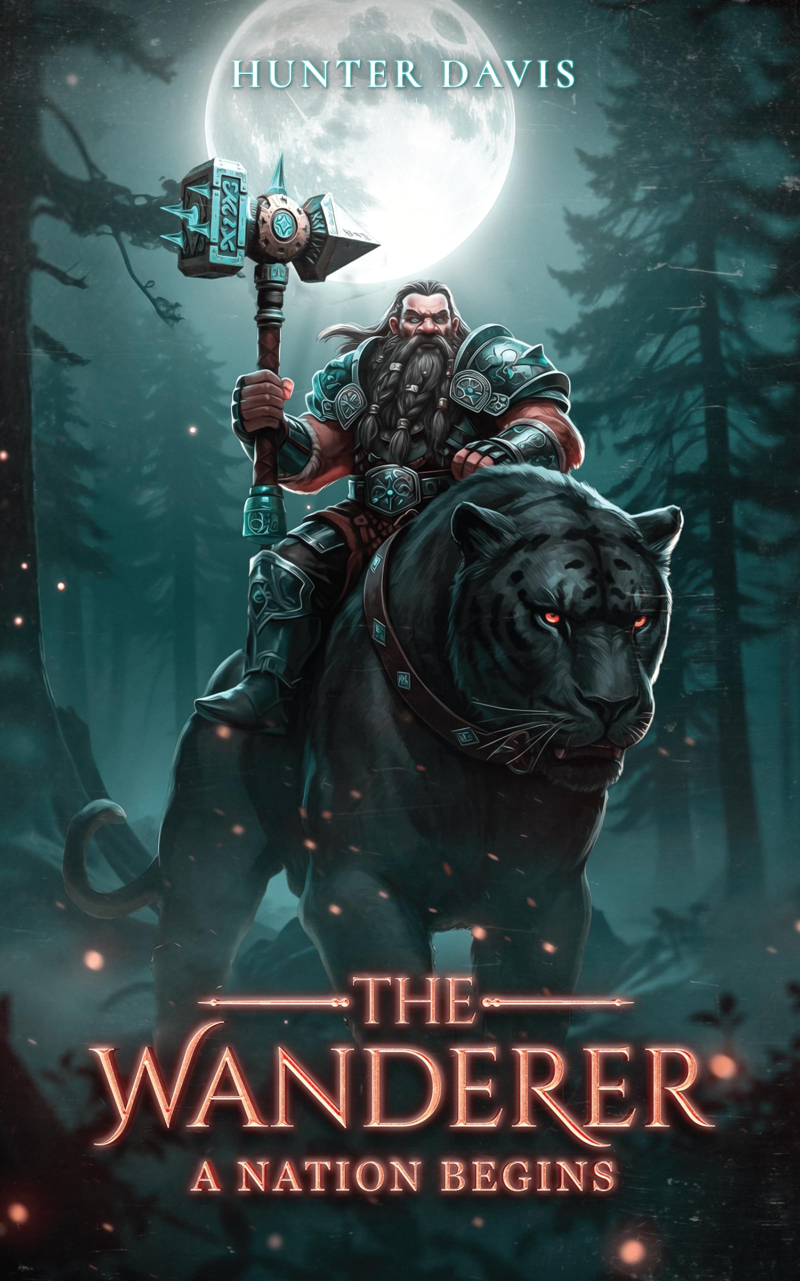 The Wanderer: A Discounted Young Adult eBook