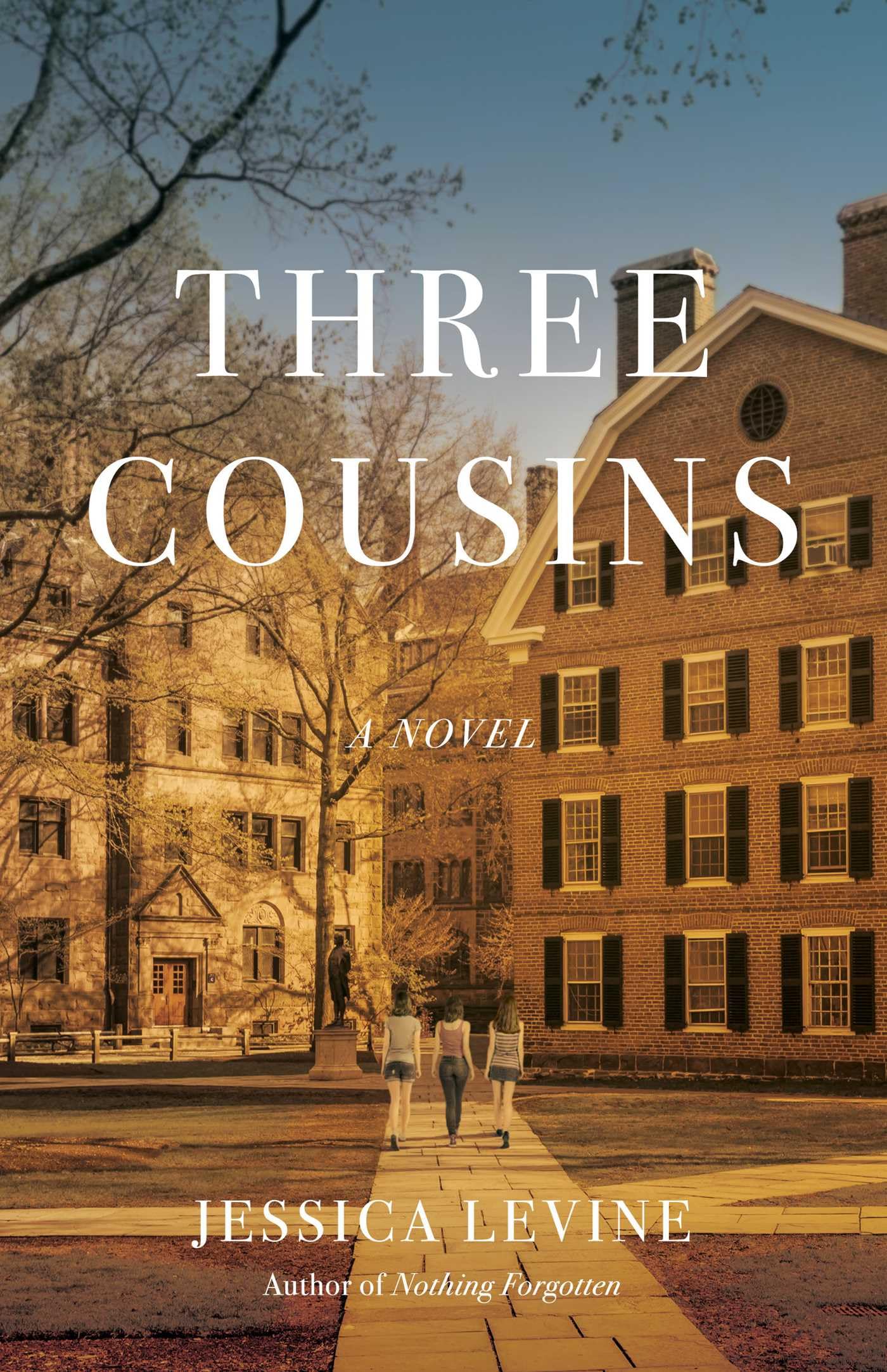Three Cousins: A Discounted Literary Fiction eBook