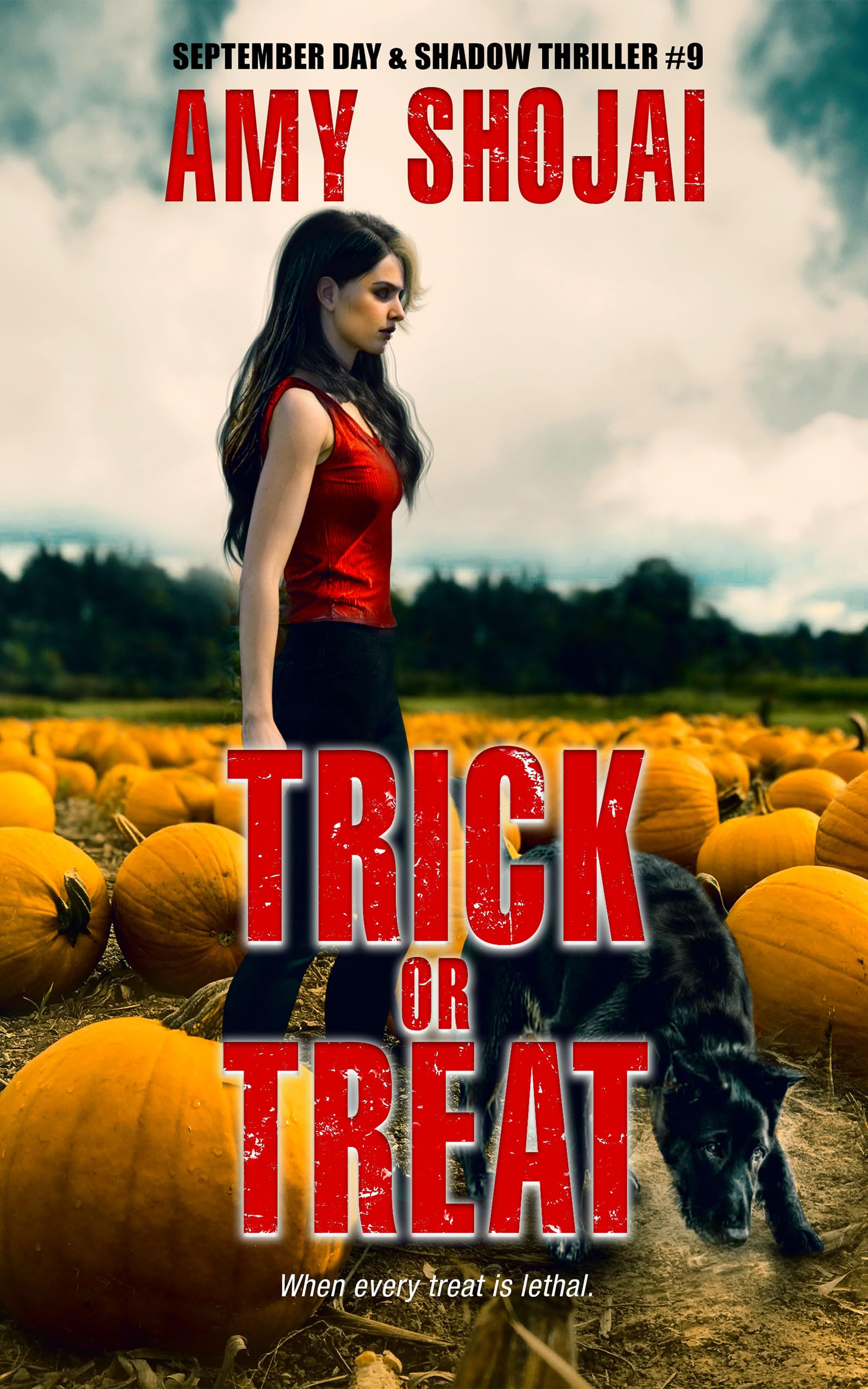 Psychic Shadows, Explosive Escapes, and Basement Terrors: Discounted Mystery / Thriller eBooks