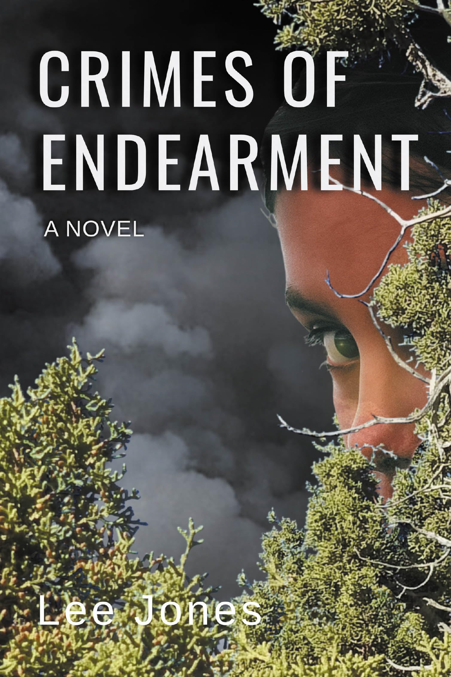 Private Heartaches, Nature Sleuths, and Risky Freedoms: Discounted Literary Fiction eBooks