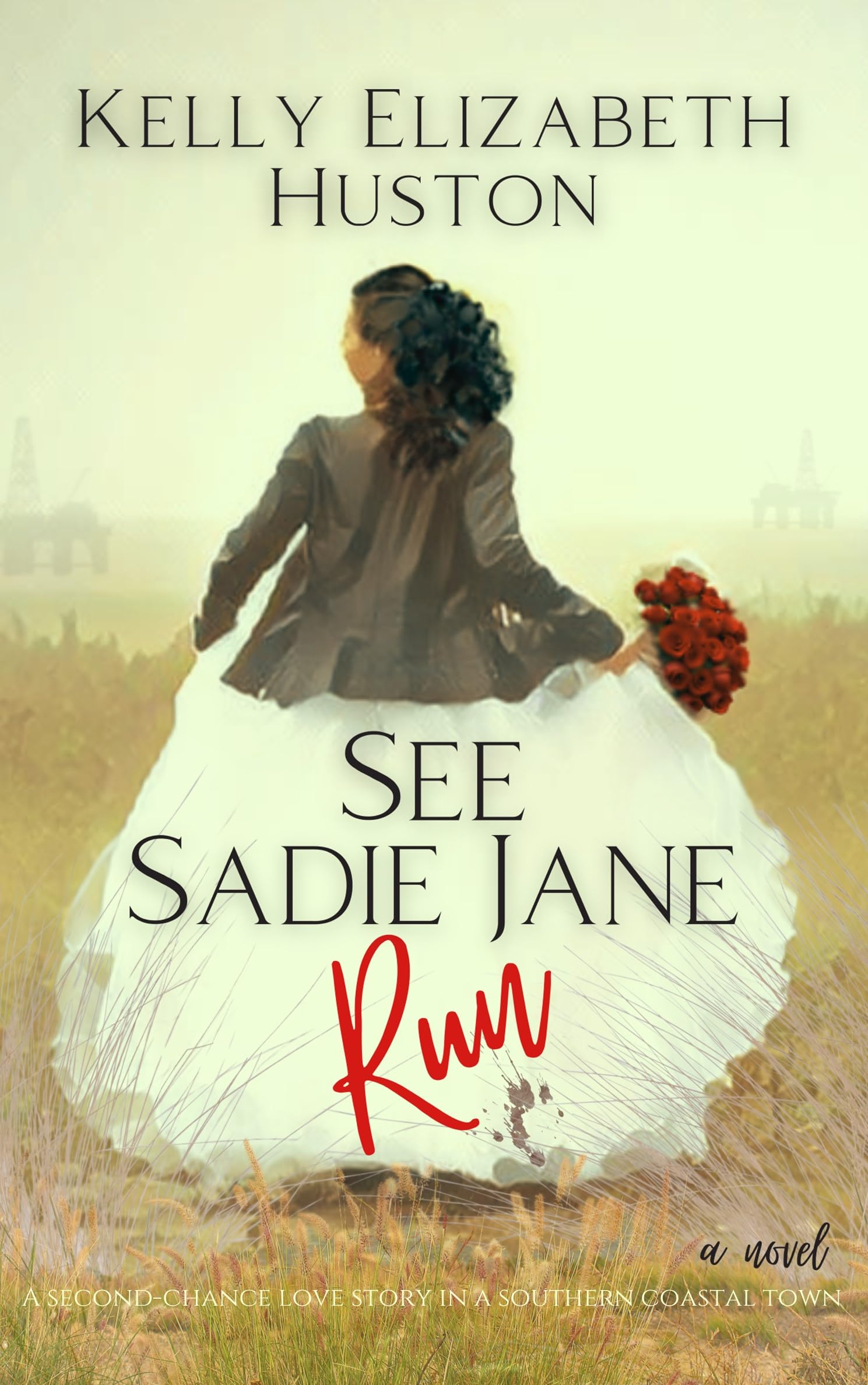 See Sadie Jane Run: A Discounted Literary Fiction eBook