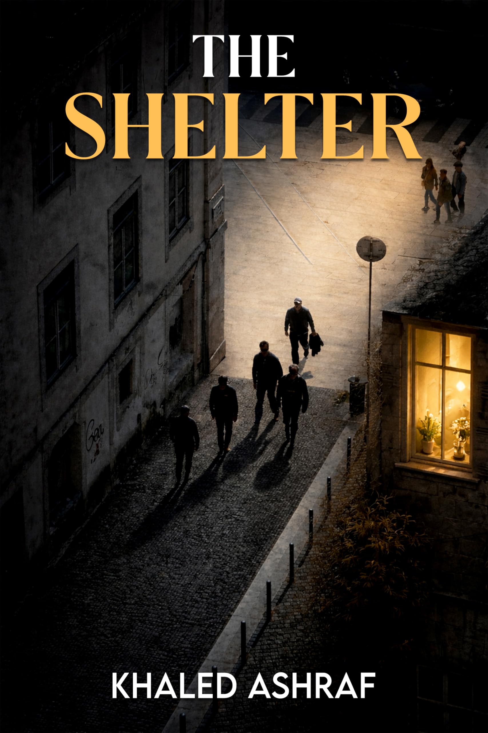 The Shelter: A Discounted Literary Fiction eBook