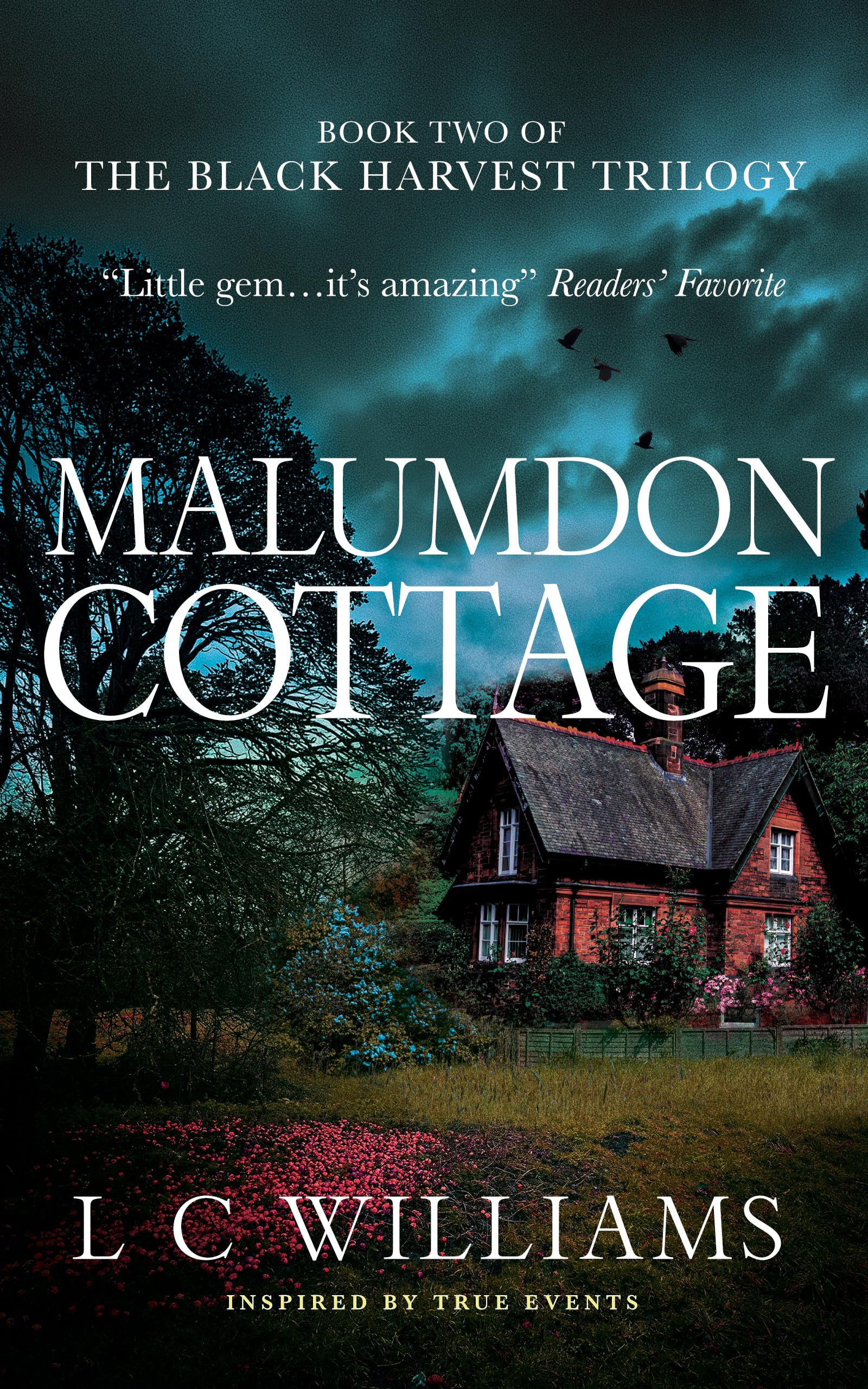 Lingering Grief, Family Bonds, and Honest Letters: Discounted Women's Fiction eBooks