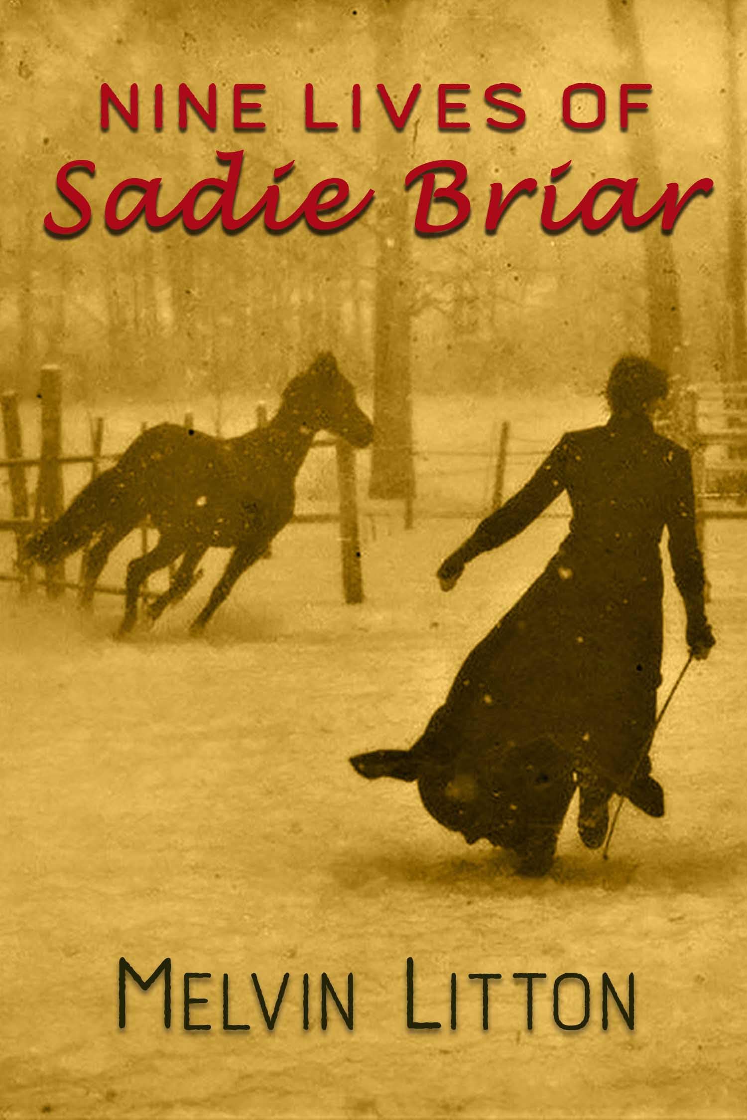 Nine Lives of Sadie Briar: A Discounted Historical Fiction eBook