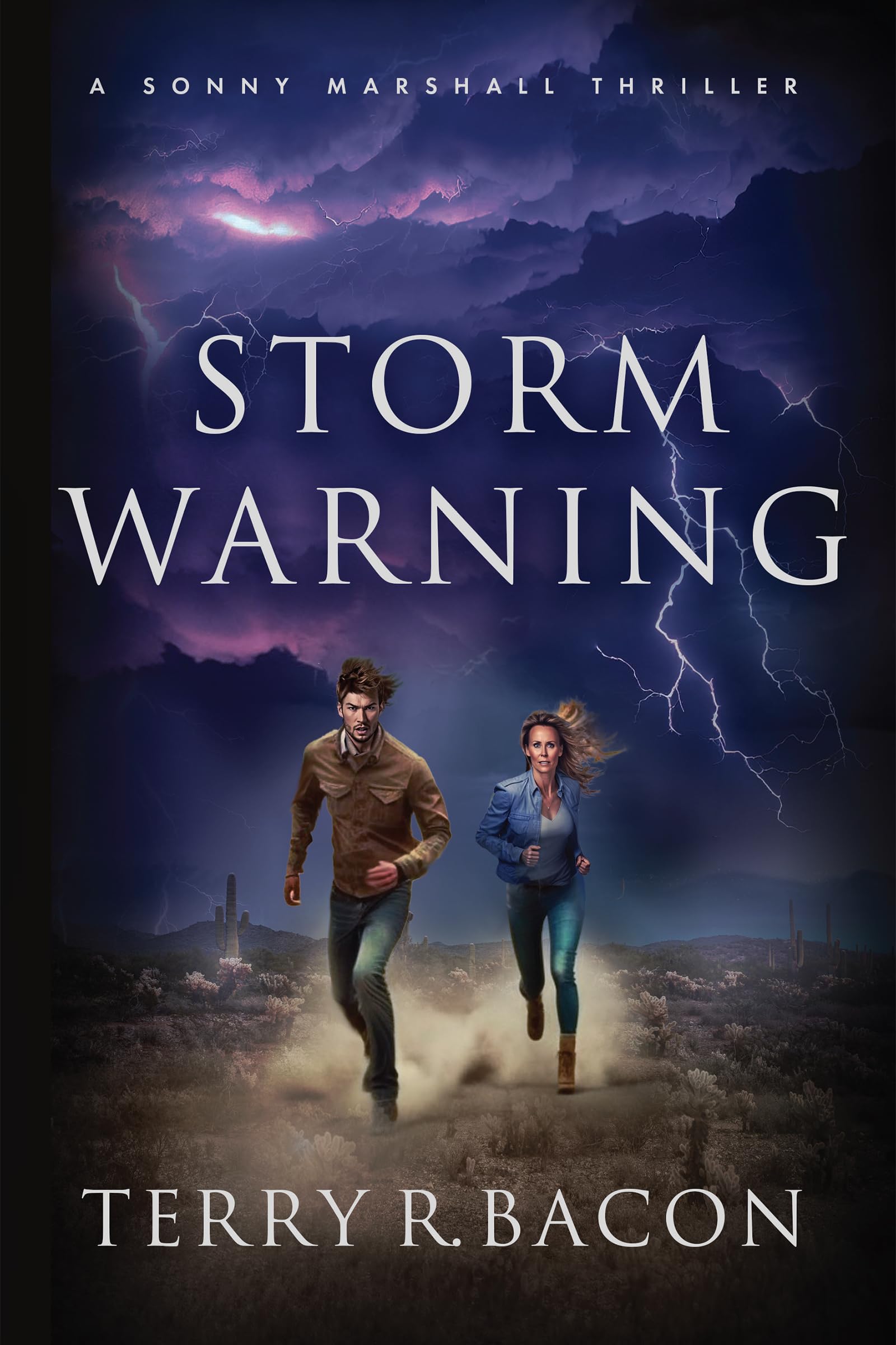 Twisted Motives, Unsolved Vanishings, and Secret Rivalries: Discounted Mystery / Thriller eBooks