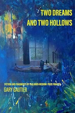 Two Dreams and Two Hollows: A Discounted Literary Fiction eBook