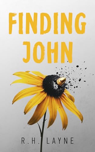 Finding John: A Discounted Young Adult eBook