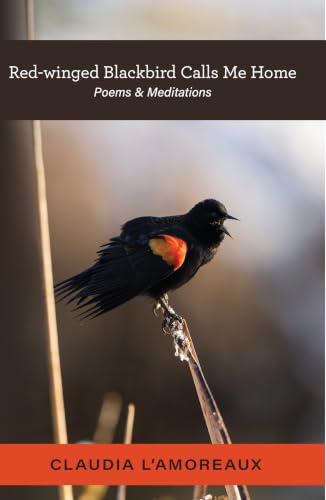 Natural Remedies, Distorted Realities, and Hopeful Journeys: Discounted Literary Fiction eBooks