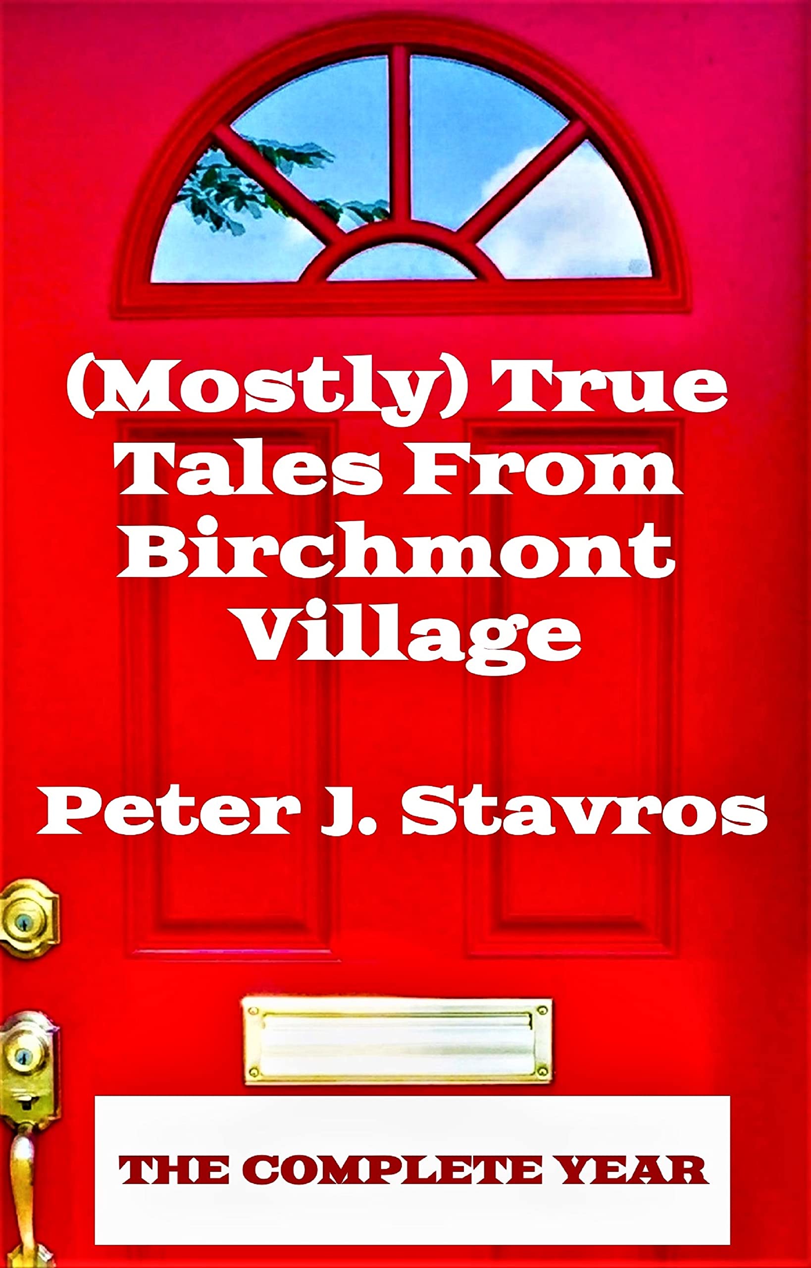 Everyday Trades, Uncovering Secrets, and Village Catastrophes: Discounted Literary Fiction eBooks