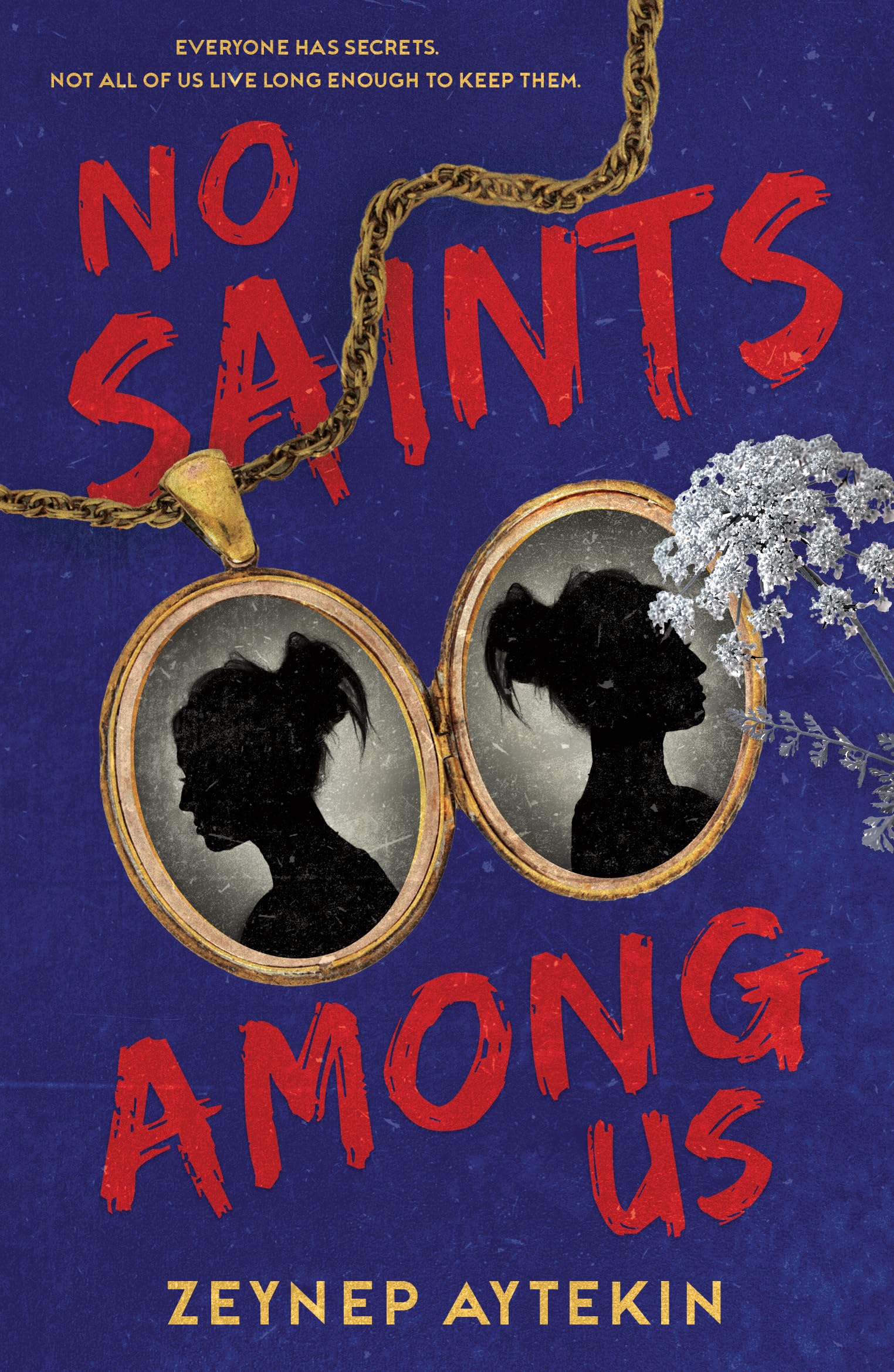 No Saints Among Us: A Discounted Young Adult eBook
