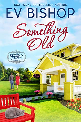 Fresh Starts, Family Storms, and New Dreams: Discounted Women's Fiction eBooks