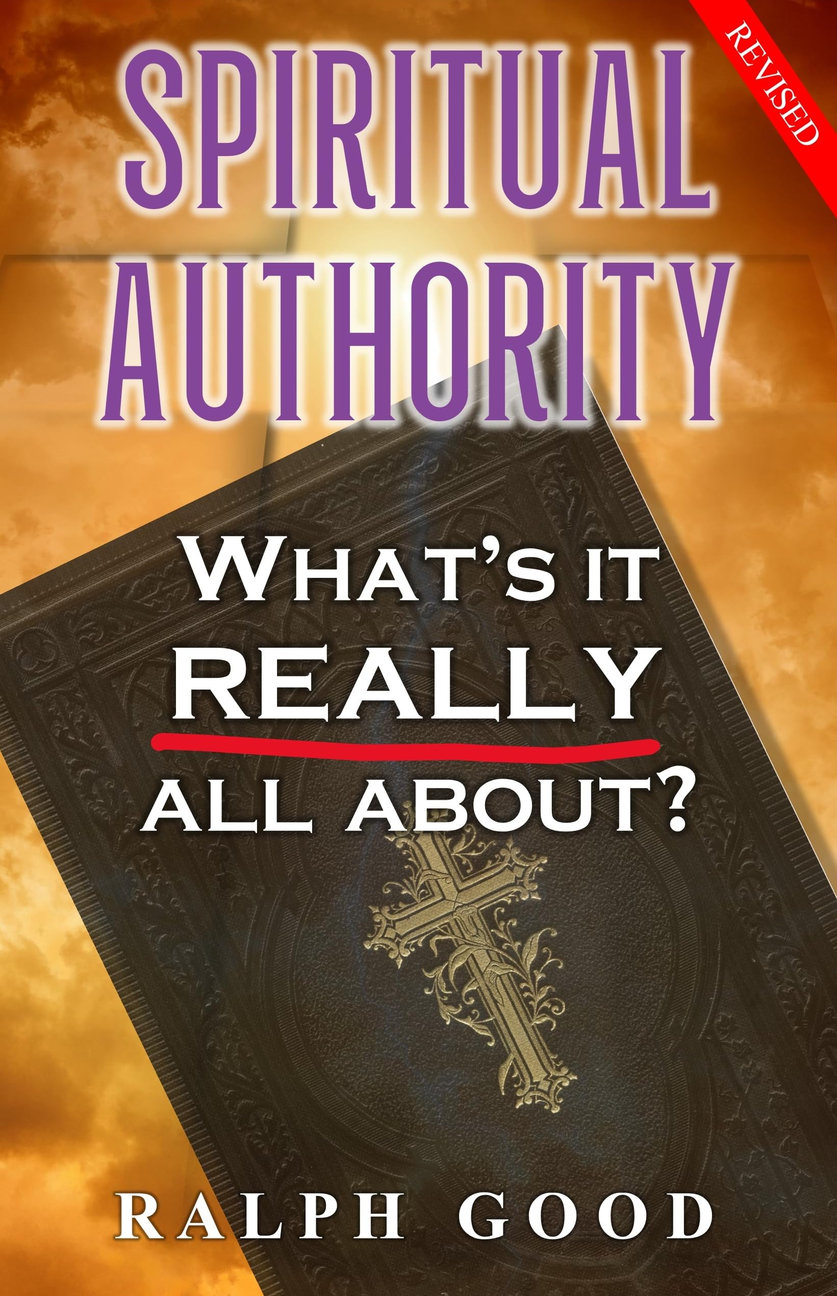 Spiritual Authority: A Discounted Religion / Spirituality eBook