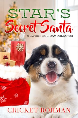 DNA Surprises, Festive Mysteries, and Fresh Beginnings: Discounted Women's Fiction eBooks