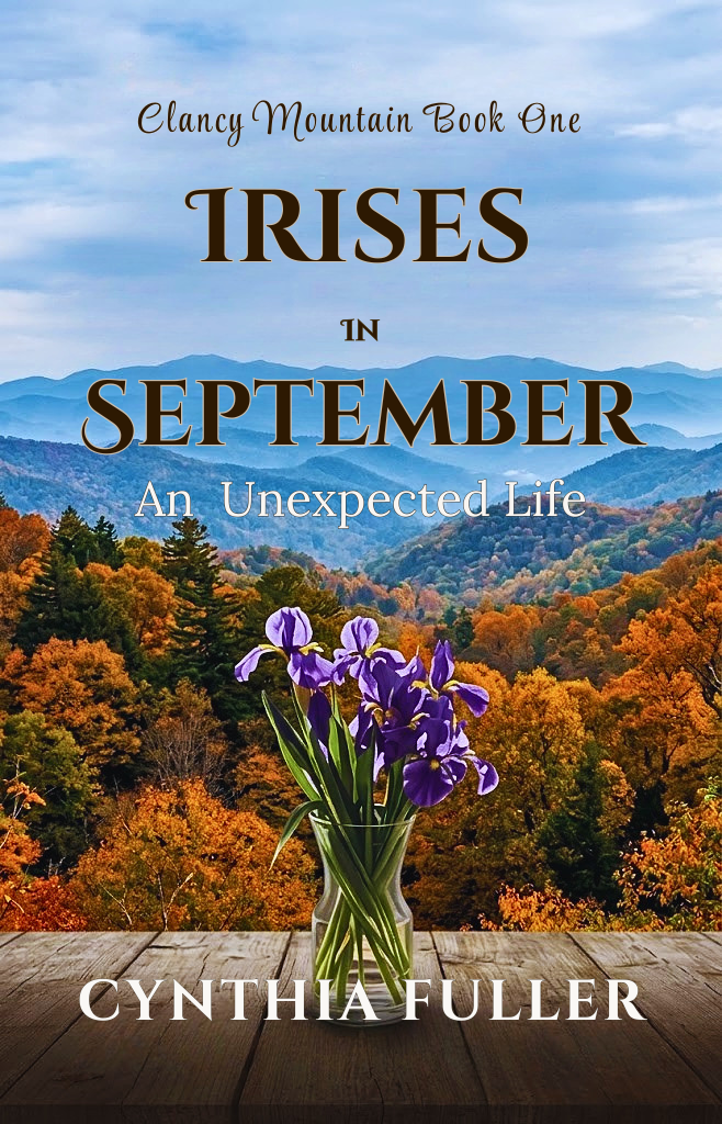 Sunny Inns, Mountain Mosaics, and Quiet Resilience: Discounted Women's Fiction eBooks