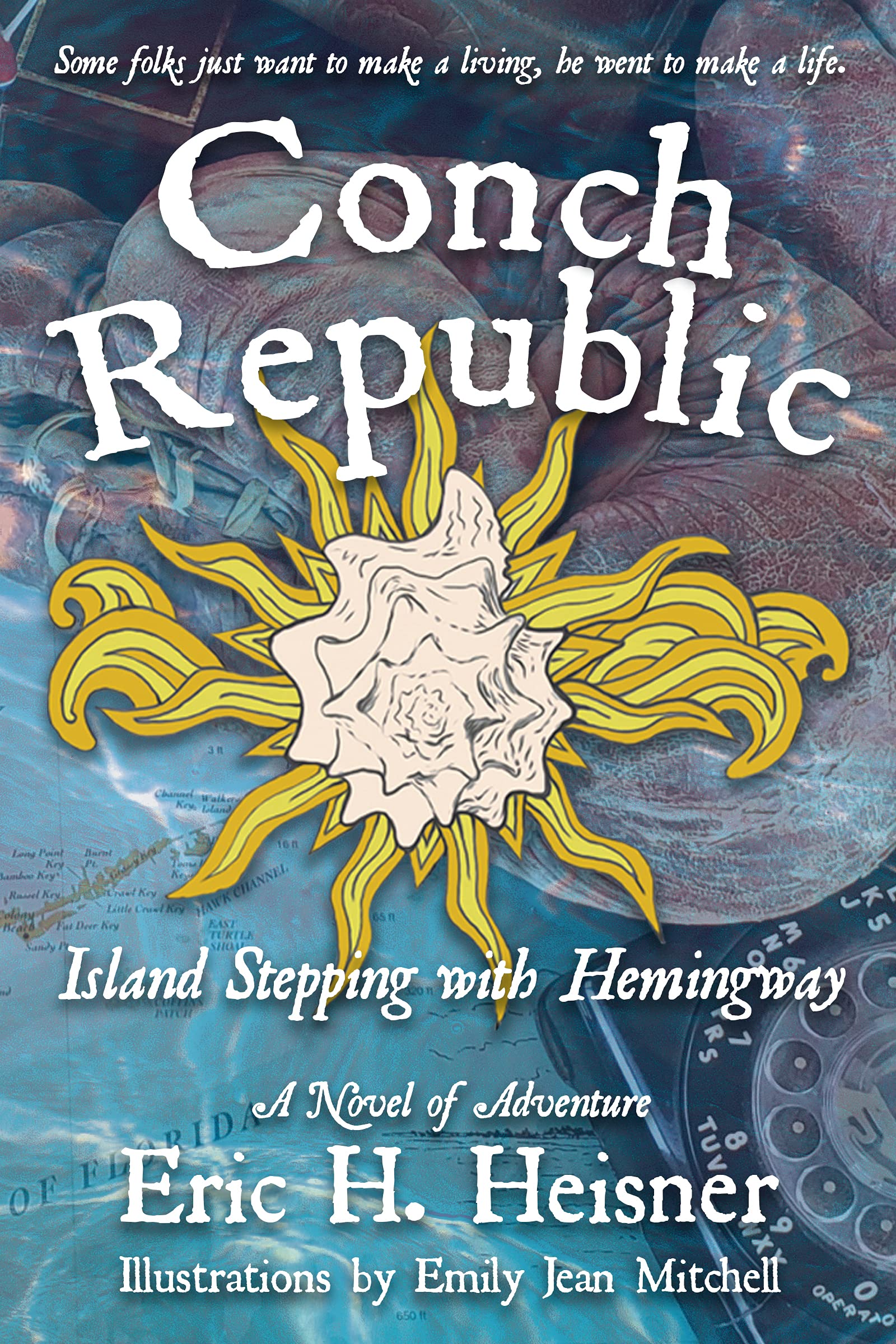 Island Footsteps, Final Conversations, and Mysterious Whiskers: Discounted Literary Fiction eBooks