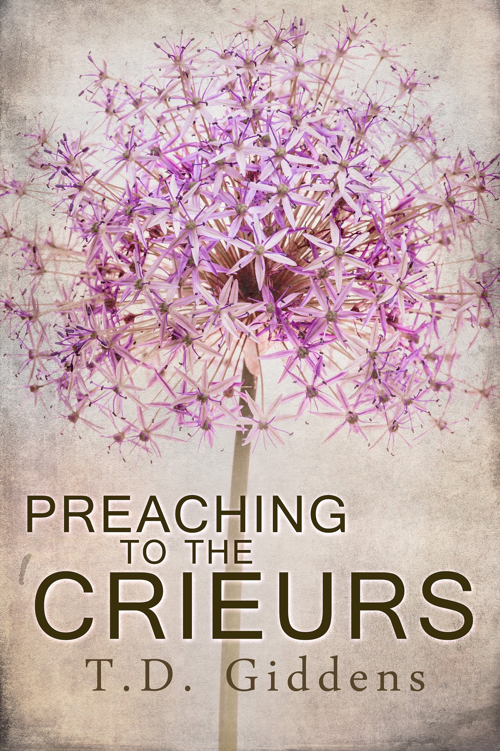 Preaching To The Crieurs: A Discounted Christian Fiction eBook