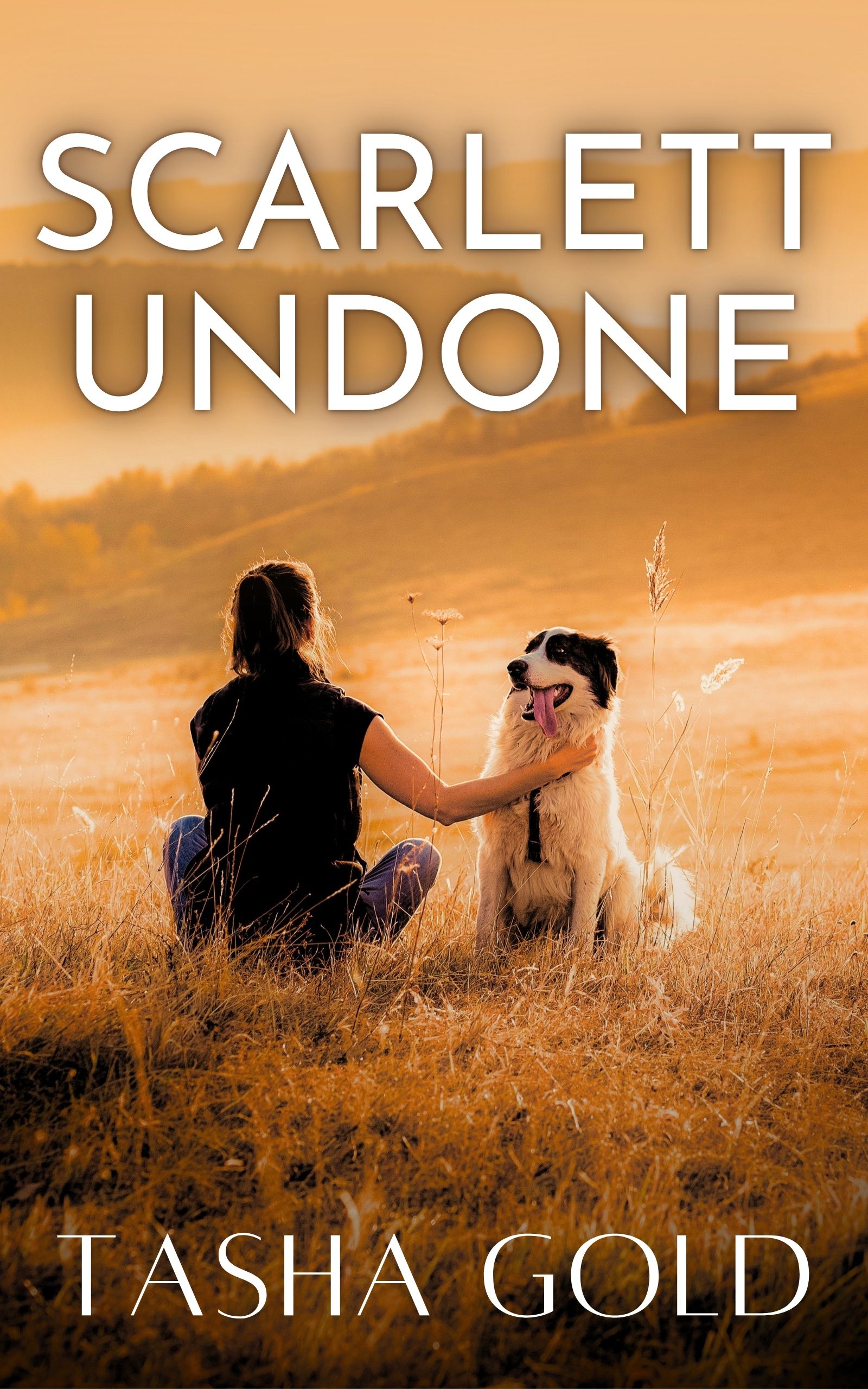 Lost Voices, Second Chances, and Forbidden Bonds: Discounted Women's Fiction eBooks