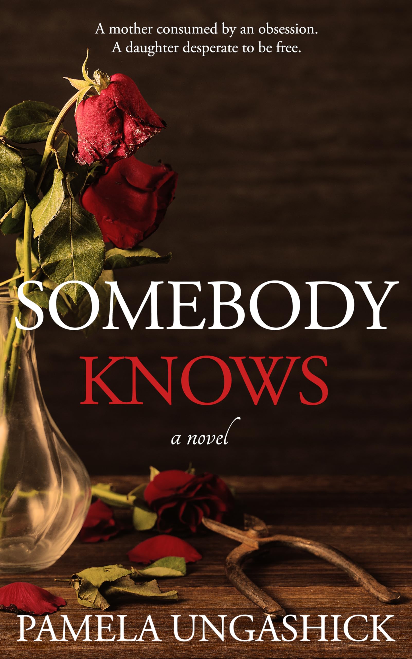 Hidden Diaries, Spiraling Obsessions, and Courageous Restarts: Discounted Women’s Fiction eBooks