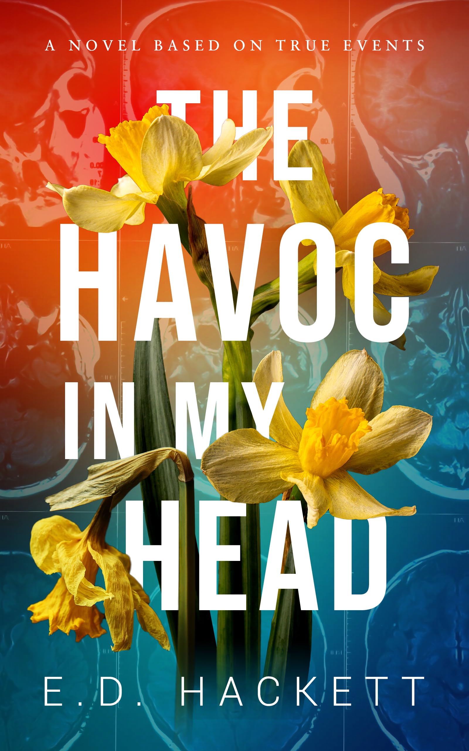 Unsettling Memories, Tumultuous Returns, and Life-Altering Diagnoses: Discounted Women’s Fiction eBooks