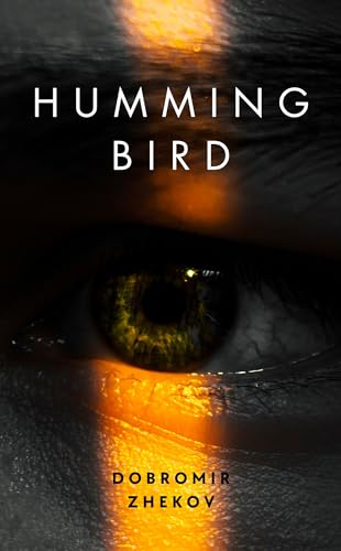 Hummingbird and Somewhere in Minnesota: Discounted Literary Fiction eBooks
